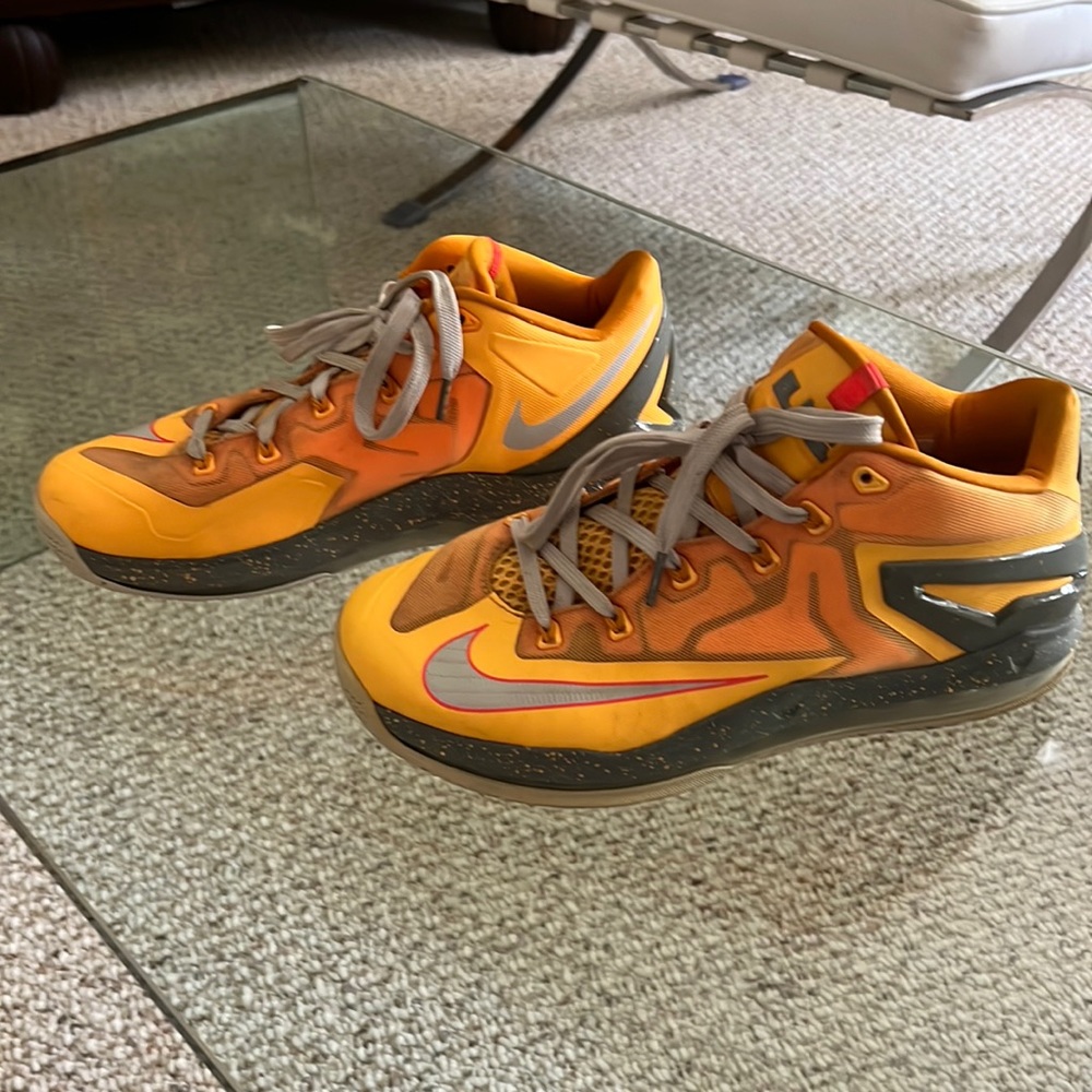Nike Lebron James Sneakers